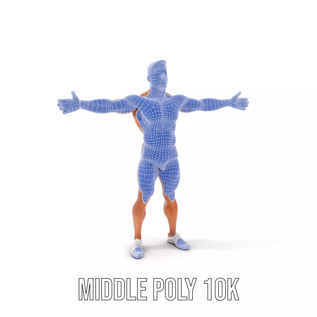 Muscular Human Anatomy 3D Model – Low Poly Educational Asset, FBX - View 19