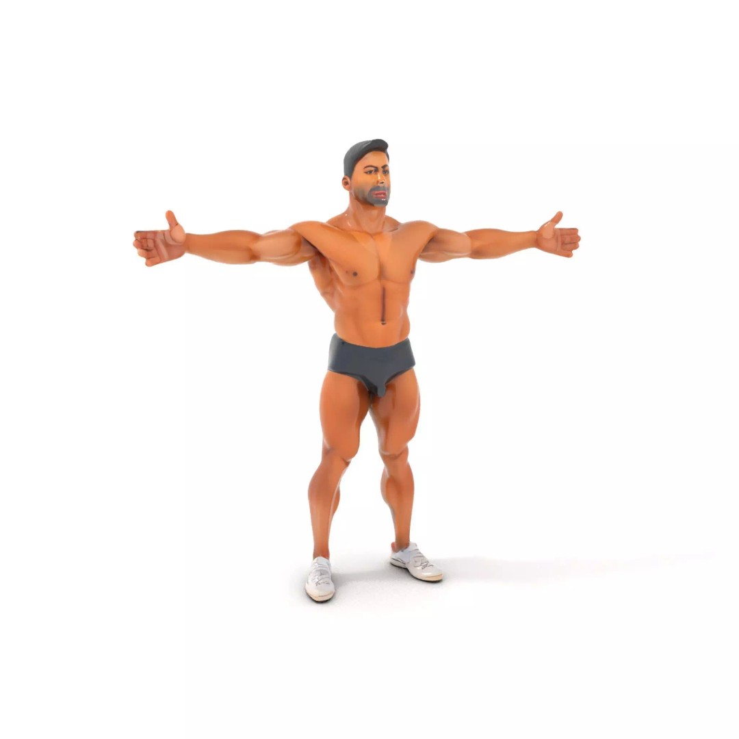 Muscular Human Anatomy 3D Model – Low Poly Educational Asset, FBX - View 2