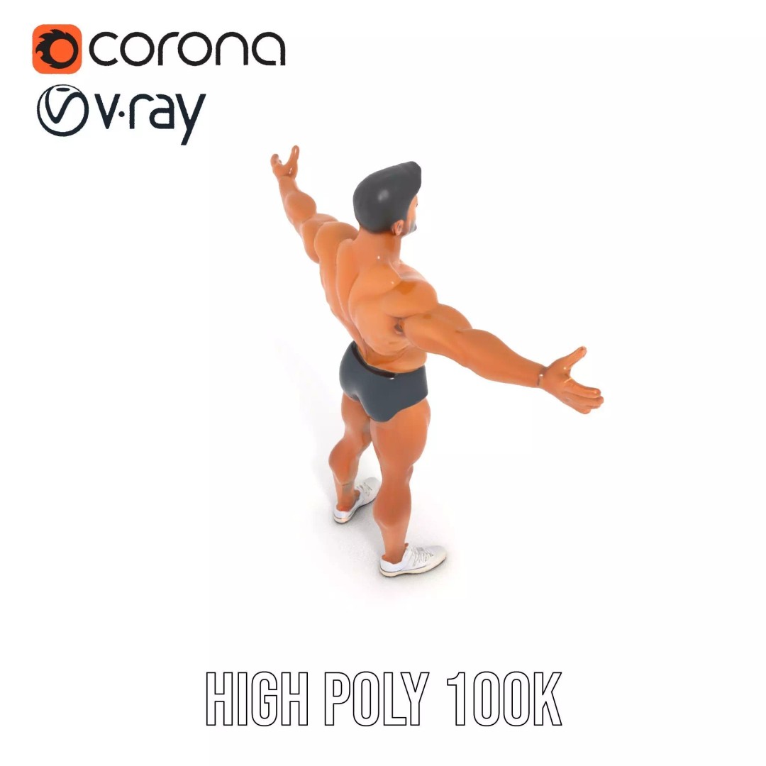 Muscular Human Anatomy 3D Model – Low Poly Educational Asset, FBX - View 24