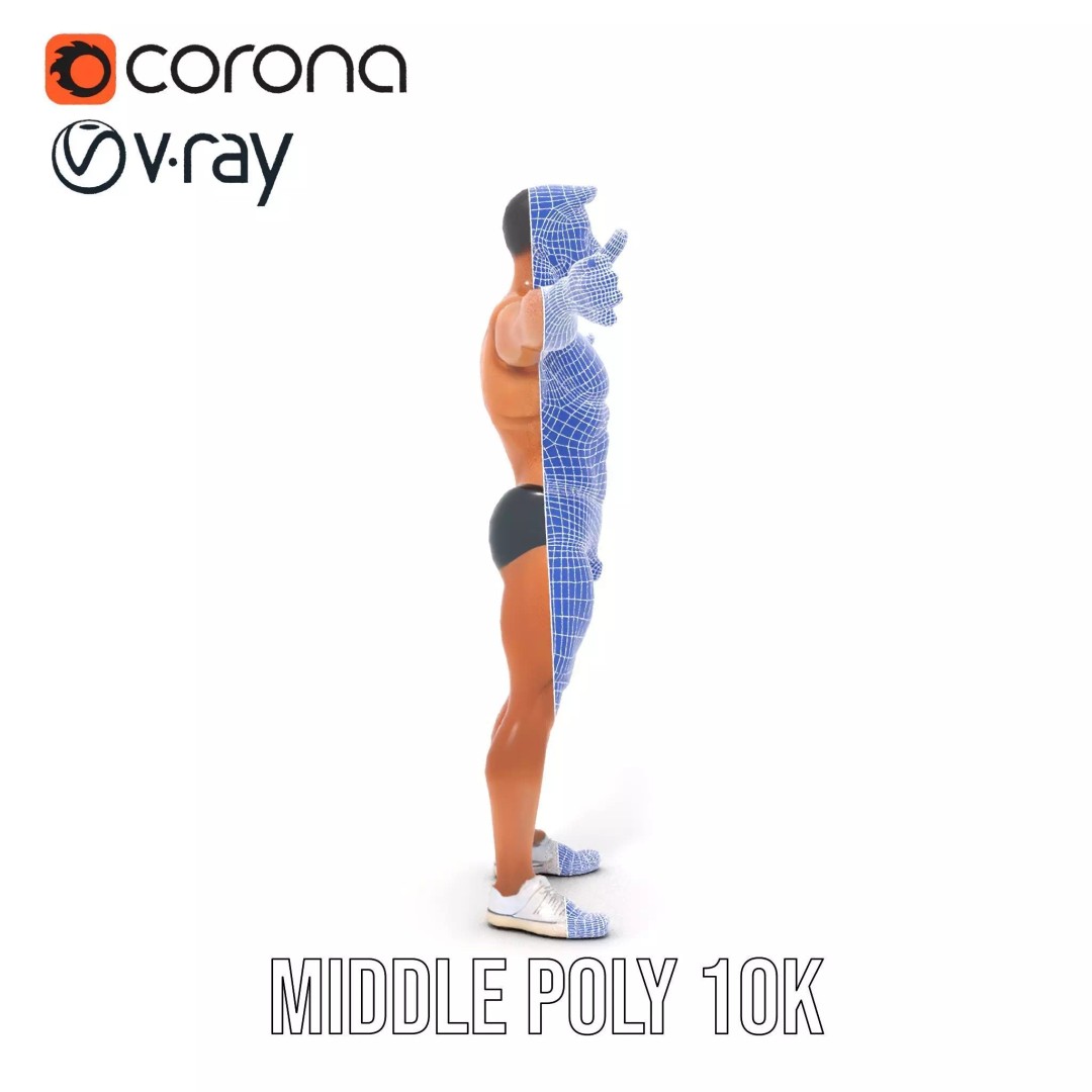 Muscular Human Anatomy 3D Model – Low Poly Educational Asset, FBX - View 25