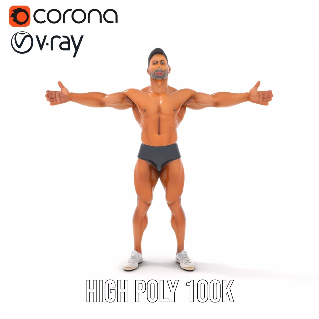Muscular Human Anatomy 3D Model – Low Poly Educational Asset, FBX - View 27