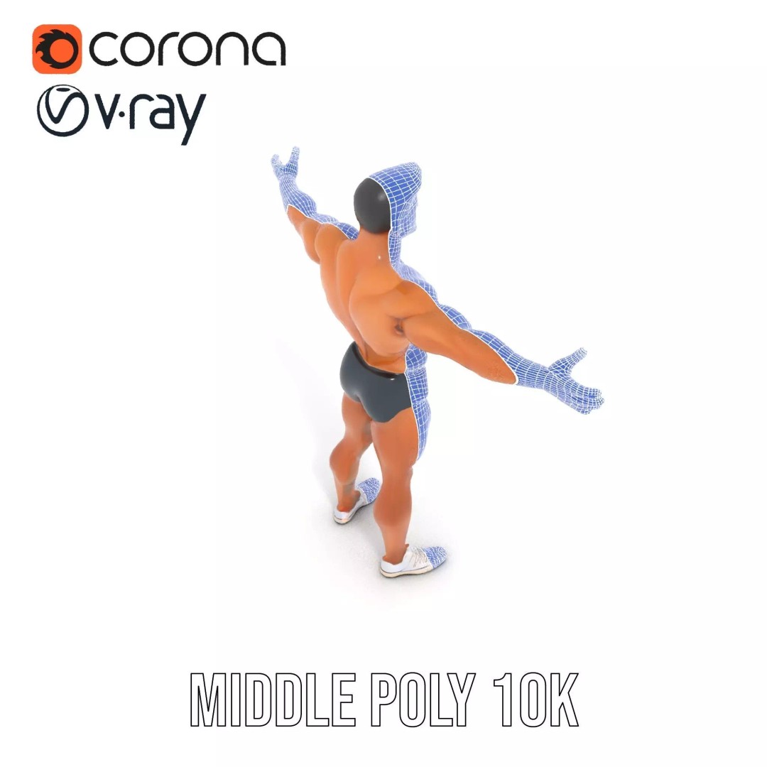 Muscular Human Anatomy 3D Model – Low Poly Educational Asset, FBX - View 30