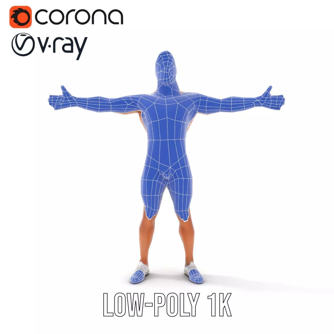 Muscular Human Anatomy 3D Model – Low Poly Educational Asset, FBX - View 31