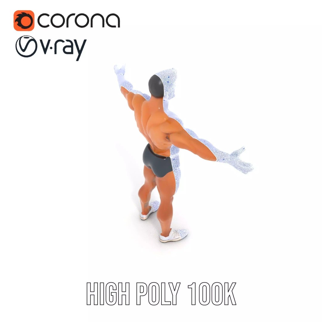 Muscular Human Anatomy 3D Model – Low Poly Educational Asset, FBX - View 32