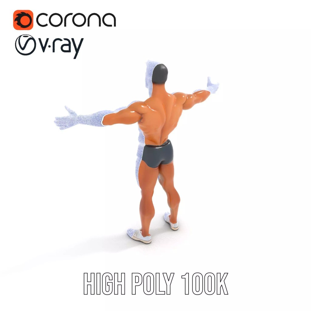 Muscular Human Anatomy 3D Model – Low Poly Educational Asset, FBX - View 33