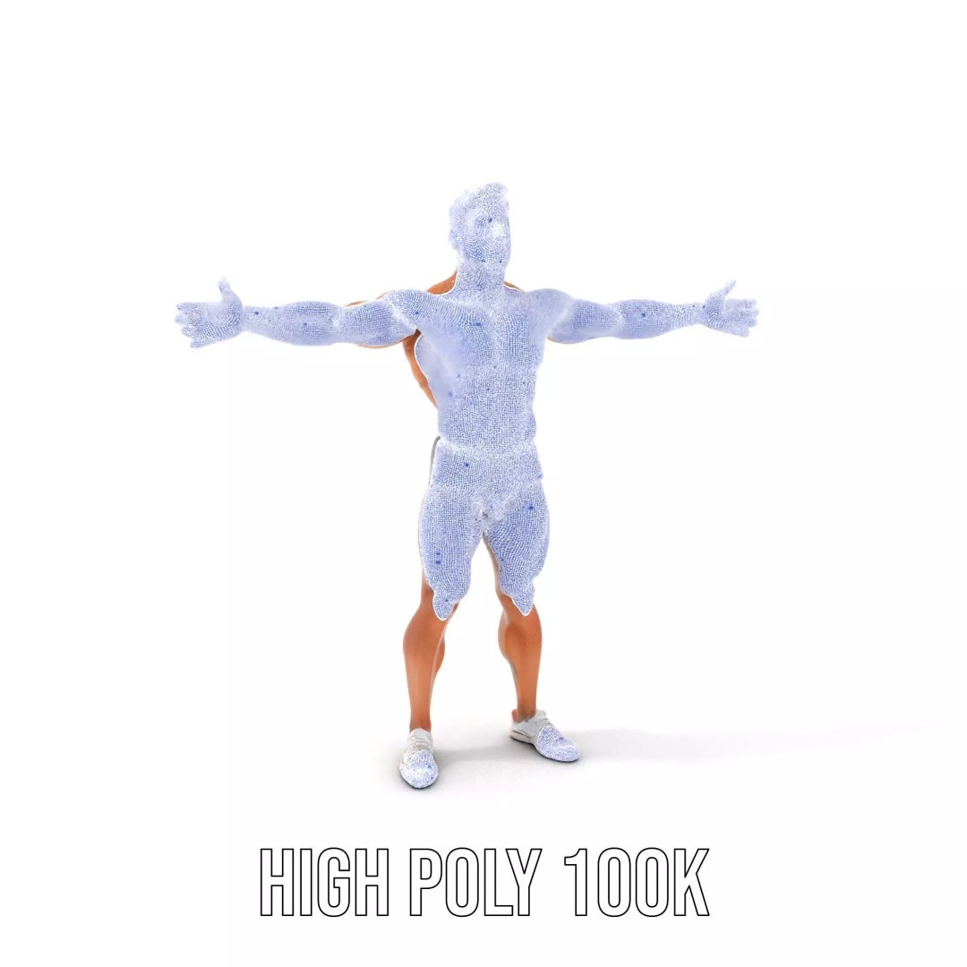 Muscular Human Anatomy 3D Model – Low Poly Educational Asset, FBX - View 5
