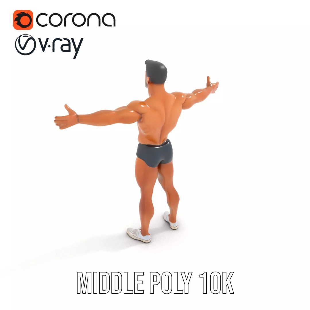 Muscular Human Anatomy 3D Model – Low Poly Educational Asset, FBX - View 6