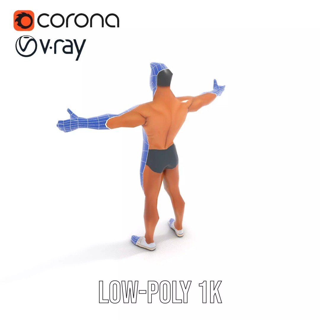Muscular Human Anatomy 3D Model – Low Poly Educational Asset, FBX - View 8