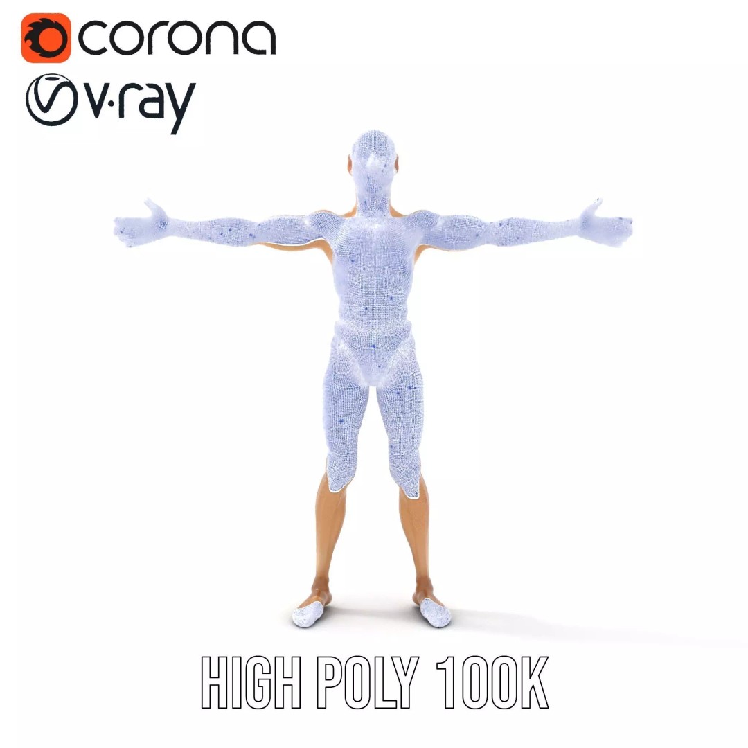 Realistic Male Anatomy 3D Model – Low Poly & Game Ready for Education