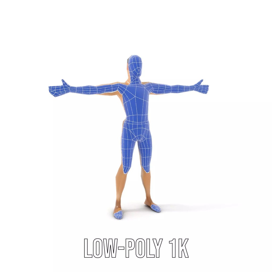 Realistic Male Anatomy 3D Model – Low Poly & Game Ready for Education - View 11