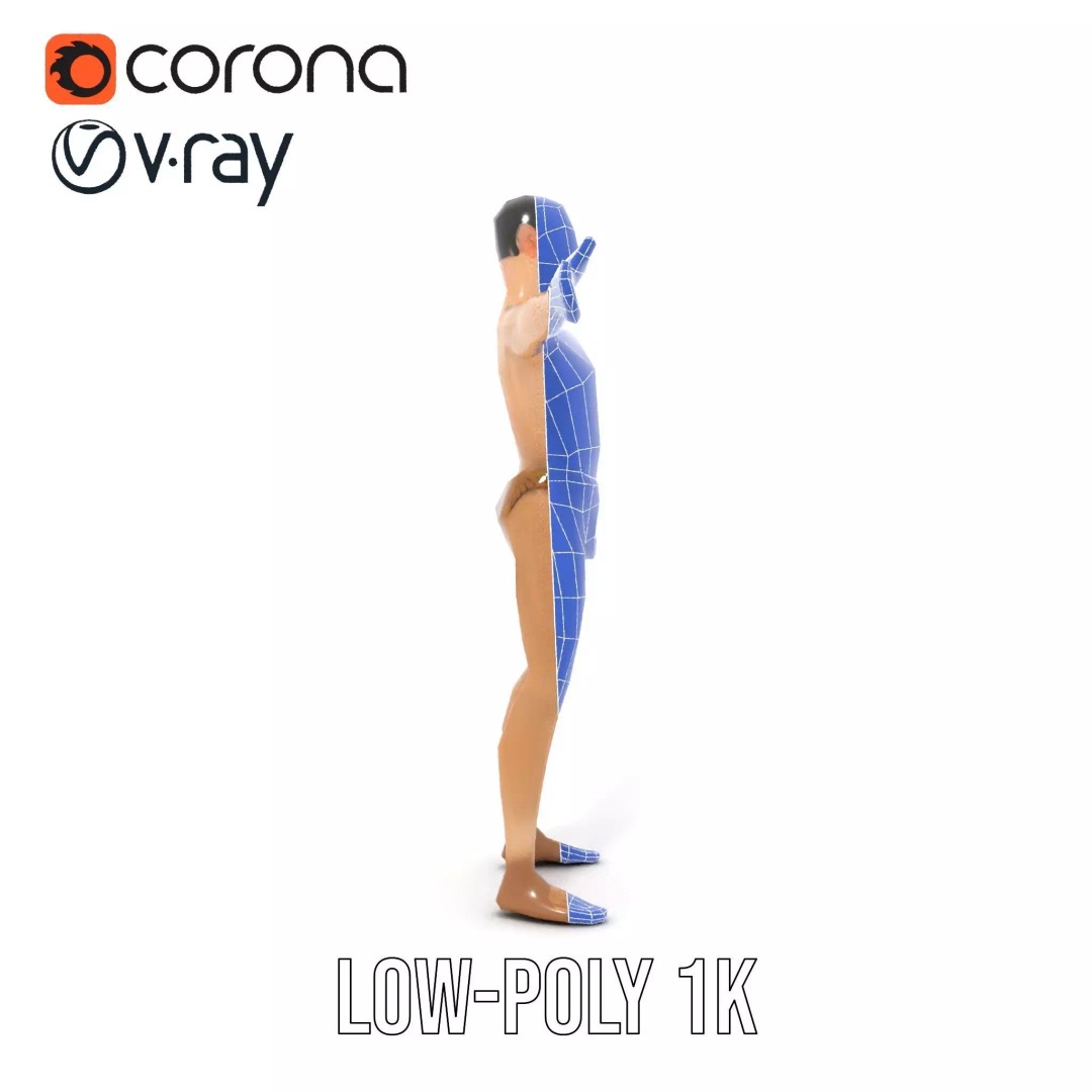 Realistic Male Anatomy 3D Model – Low Poly & Game Ready for Education - View 16
