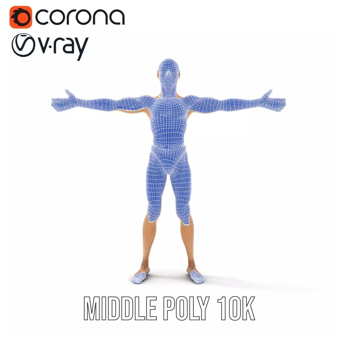 Realistic Male Anatomy 3D Model – Low Poly & Game Ready for Education - View 21