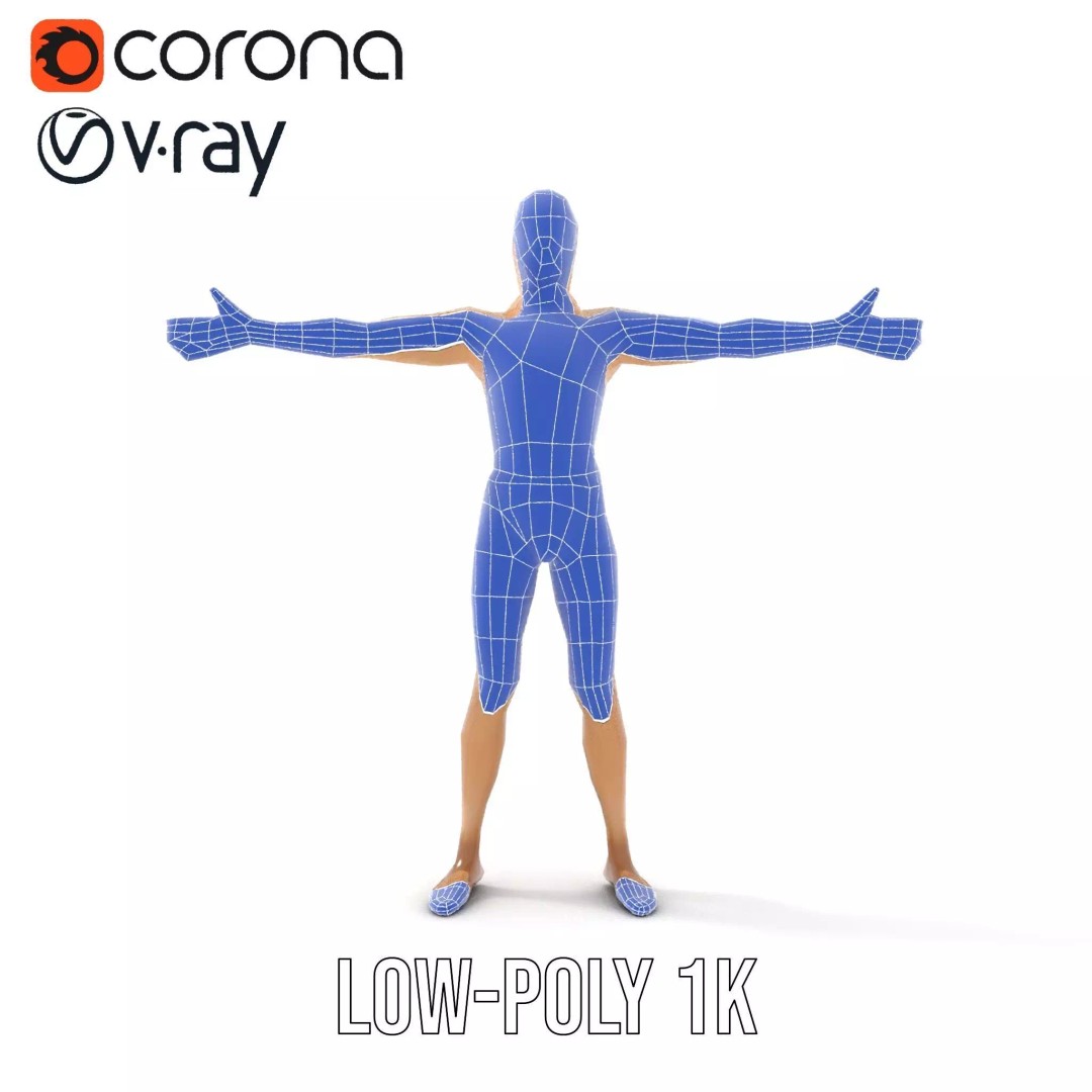 Realistic Male Anatomy 3D Model – Low Poly & Game Ready for Education - View 22