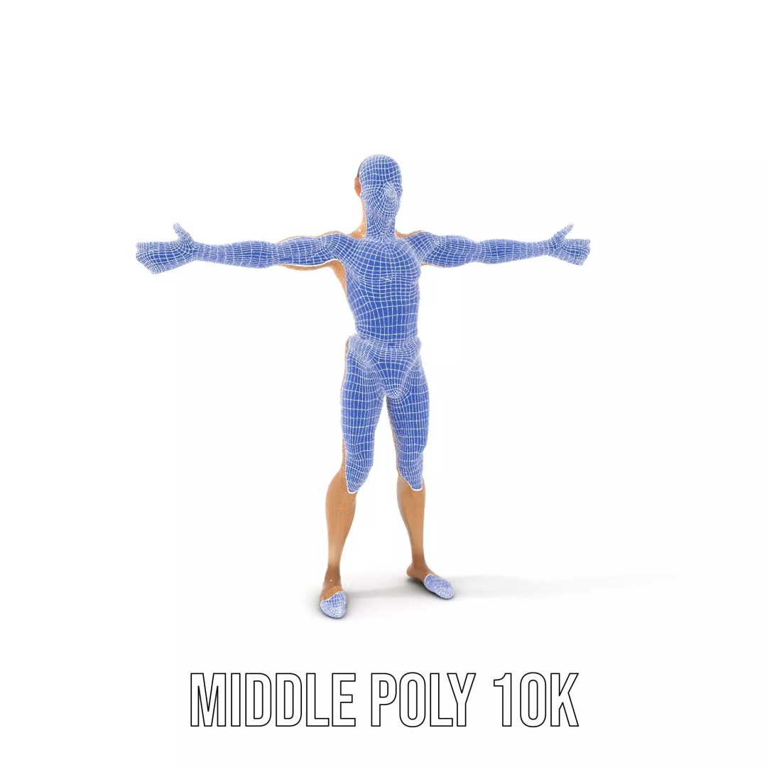 Realistic Male Anatomy 3D Model – Low Poly & Game Ready for Education - View 27
