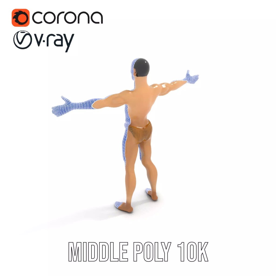 Realistic Male Anatomy 3D Model – Low Poly & Game Ready for Education - View 30