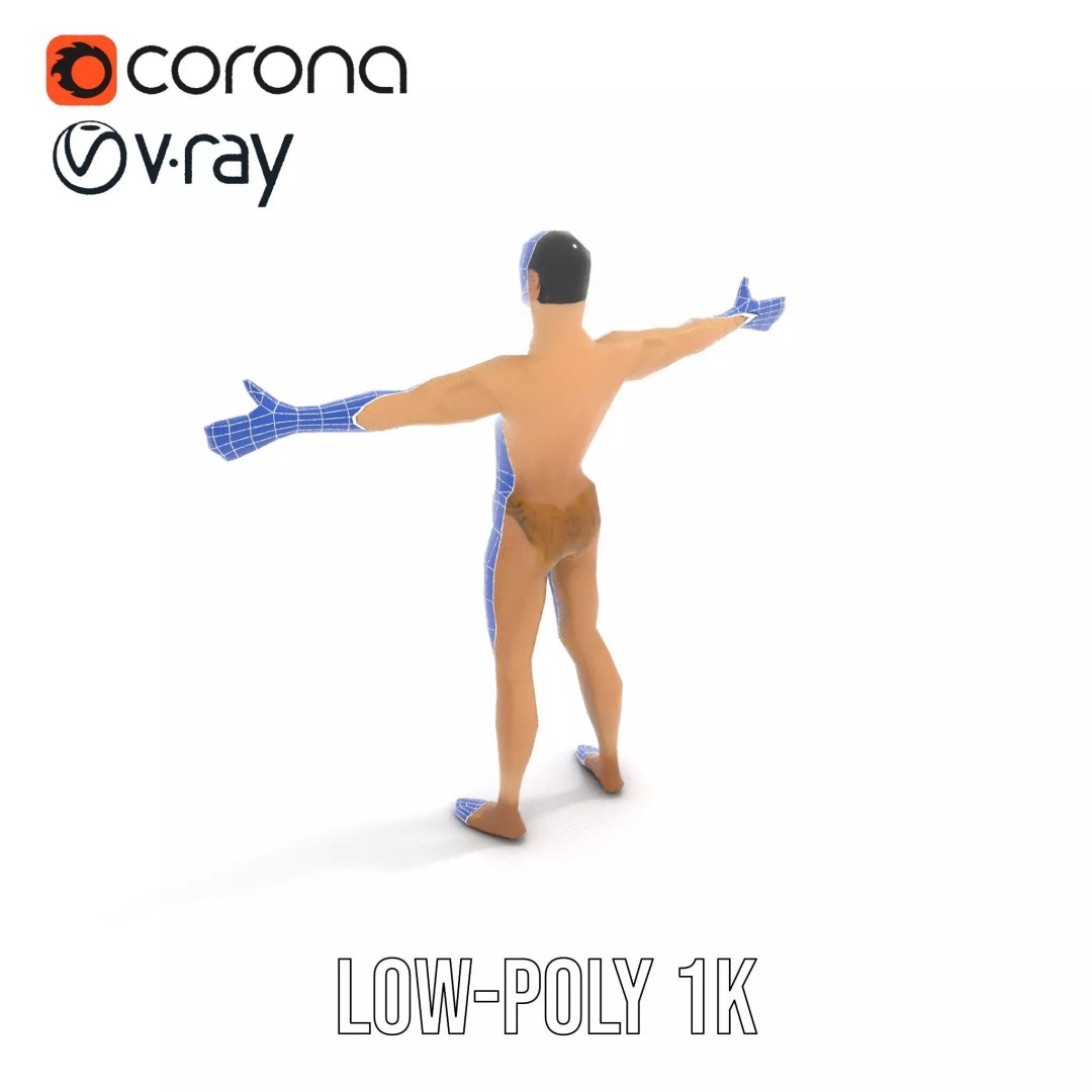 Realistic Male Anatomy 3D Model – Low Poly & Game Ready for Education - View 31