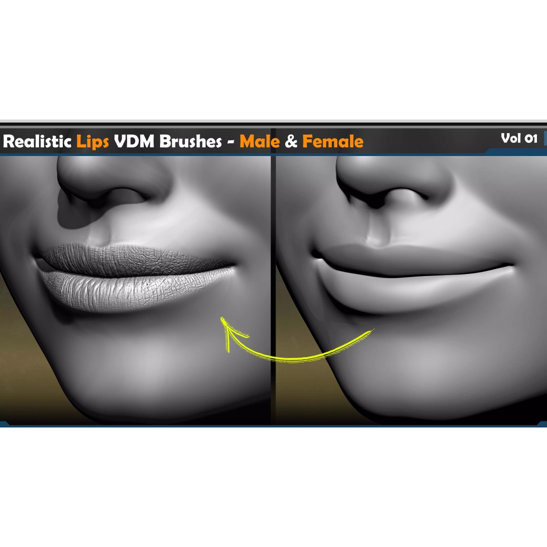 Realistic Lip Brushes 3D Model – Male-Female Collection, ZBrush & Blender - View 4