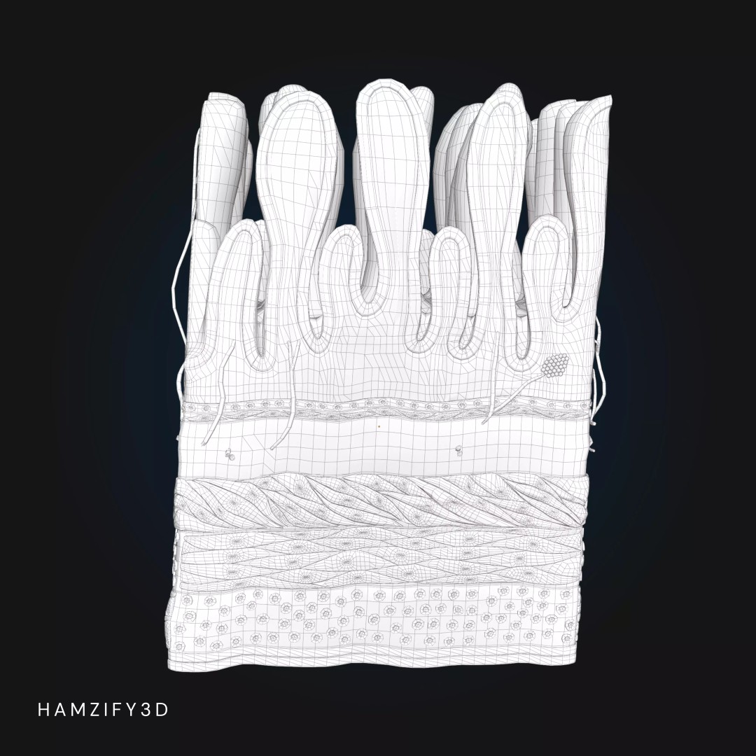 3D Human Stomach Wall Layers 3D Model – Detailed Microscopic Anatomy, FBX - View 9