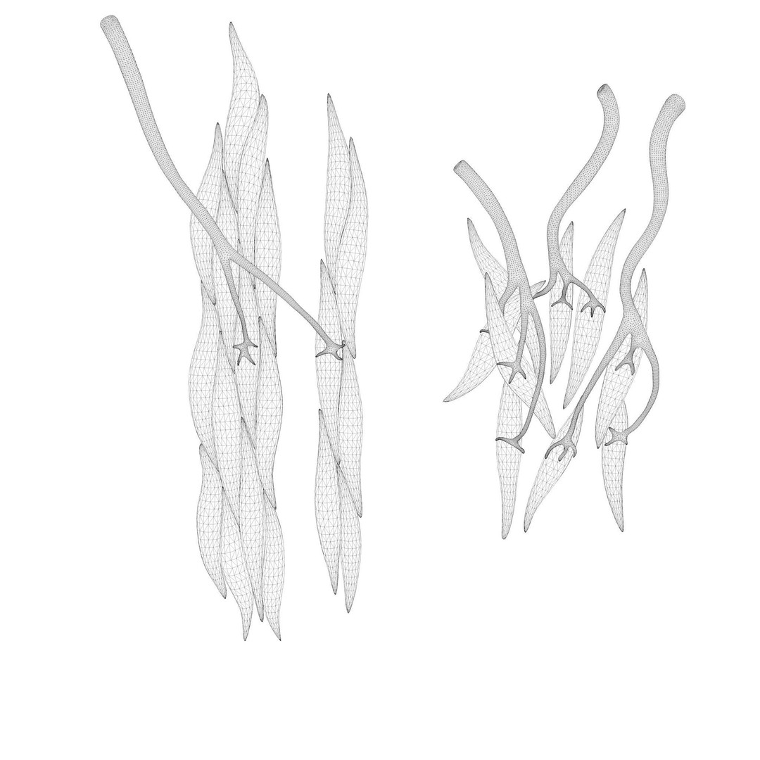 Smooth Muscle Anatomy 3D Model – High Poly Educational Asset, FBX - View 11