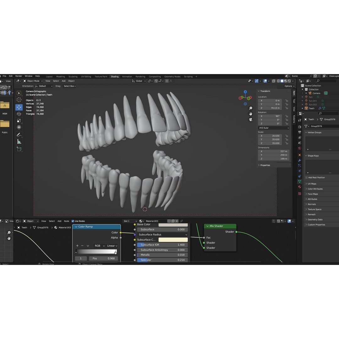 Human Teeth 3D Model – High Poly Realistic Collection, FBX, OBJ, Blender - View 15
