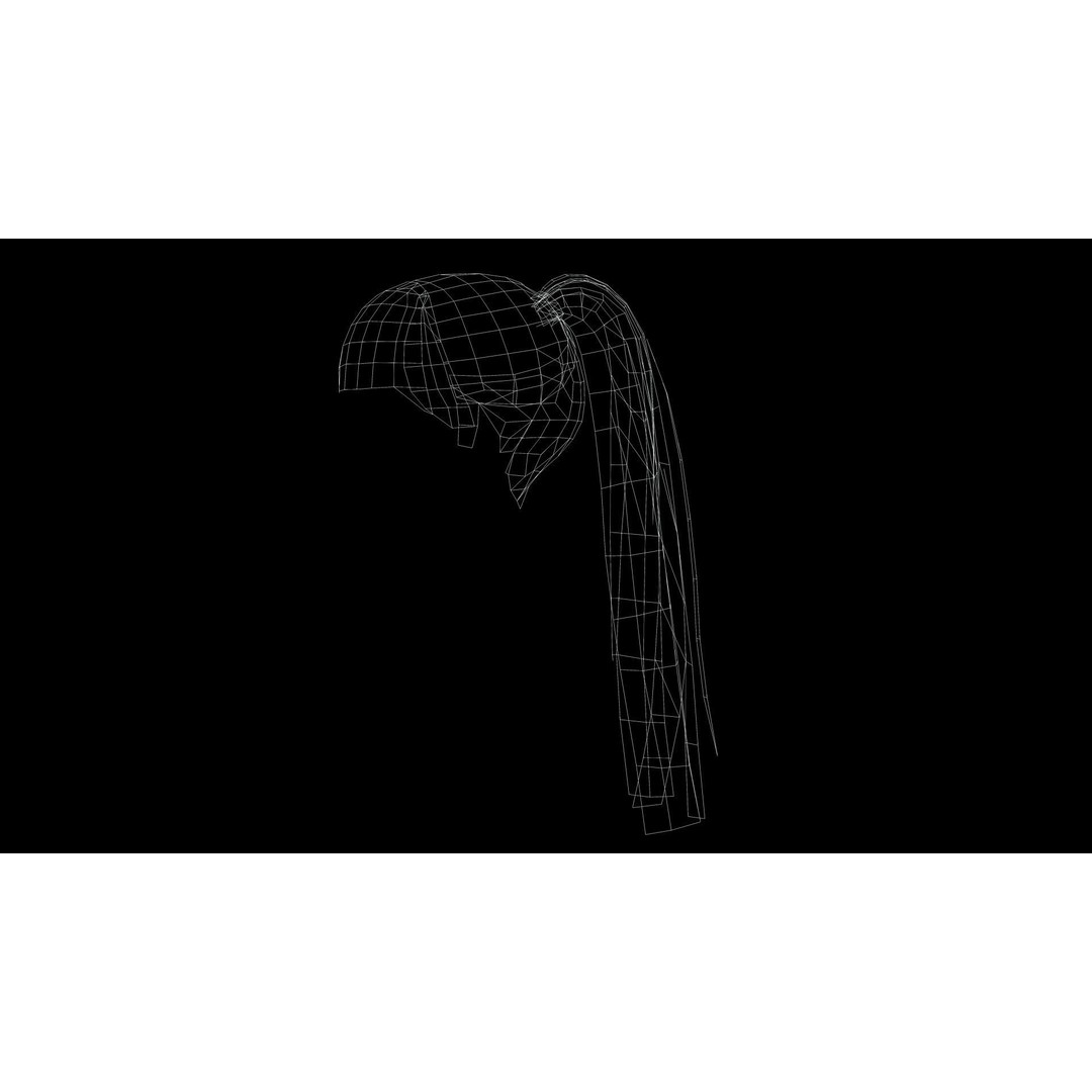 Female Hair 3D Model – Low Poly High Ponytail, PBR Textures, FBX - View 12