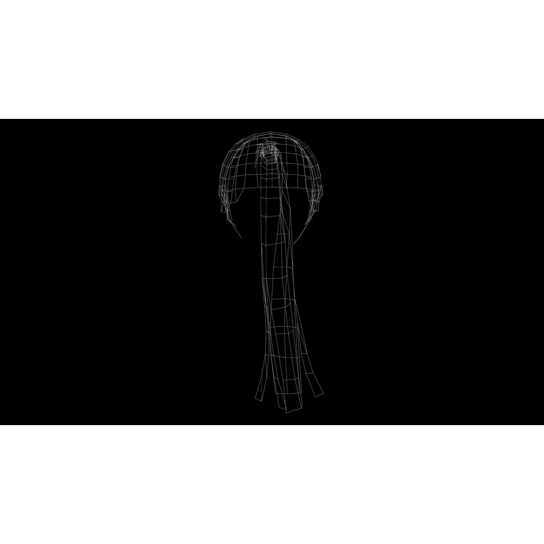 Female Hair 3D Model – Low Poly High Ponytail, PBR Textures, FBX - View 13