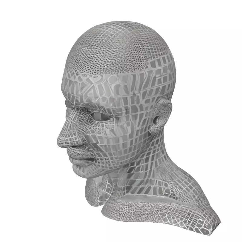 Male Head Wireframe 3D Model – Low Poly Game Asset, FBX, PBR - View 4