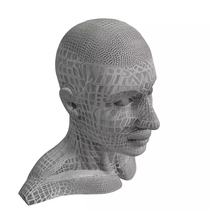 Male Head Wireframe 3D Model – Low Poly Game Asset, FBX, PBR - View 5
