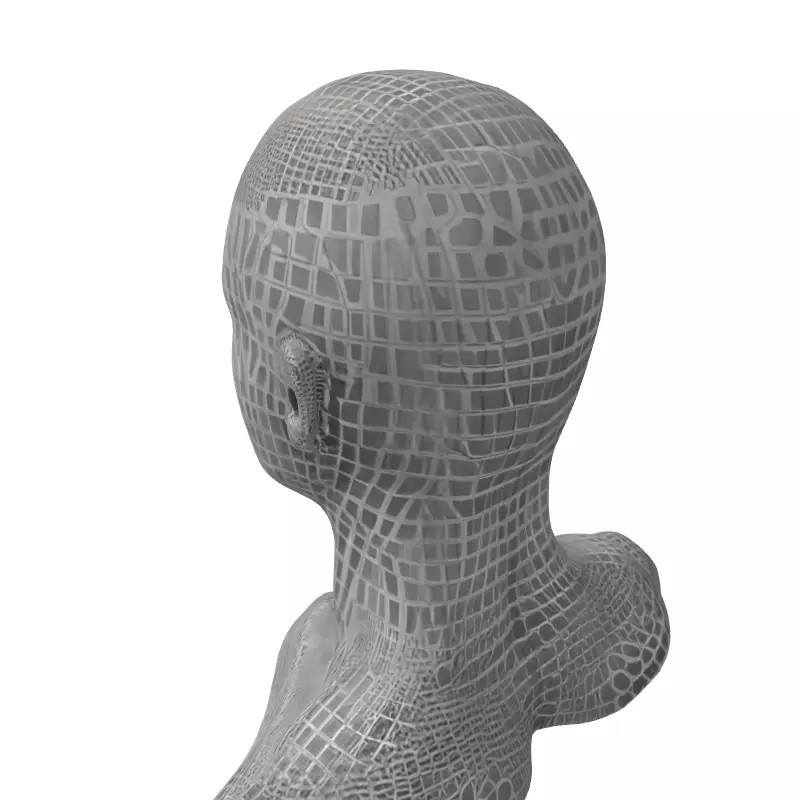 Male Head Wireframe 3D Model – Low Poly Game Asset, FBX, PBR - View 7