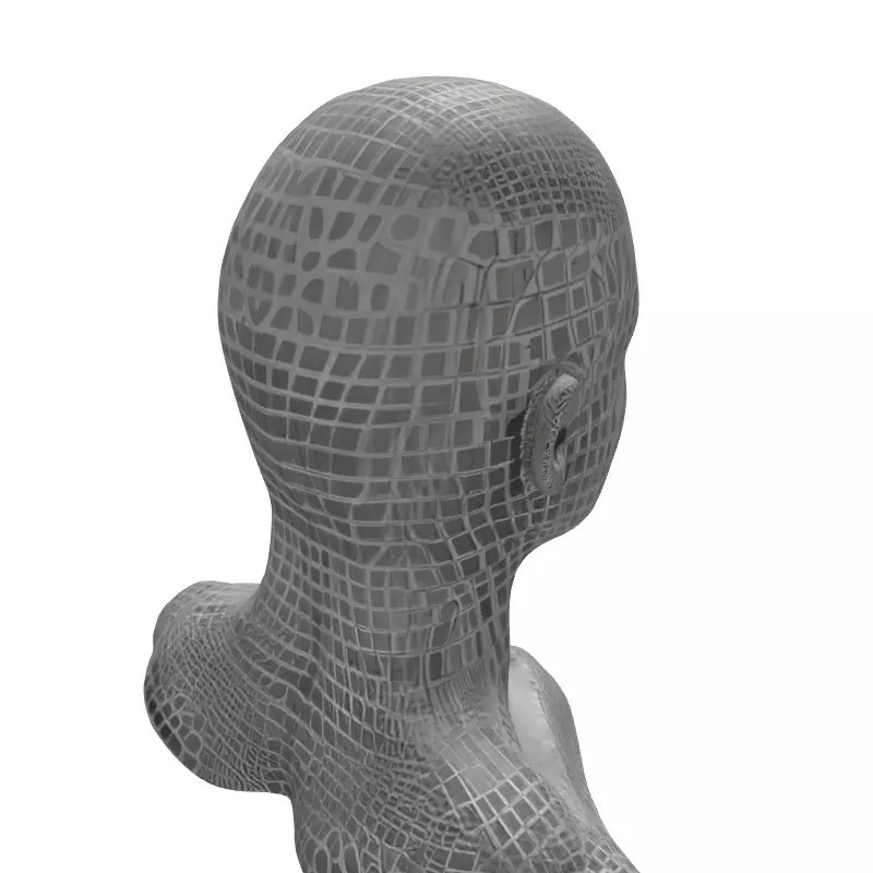 Male Head Wireframe 3D Model – Low Poly Game Asset, FBX, PBR - View 8