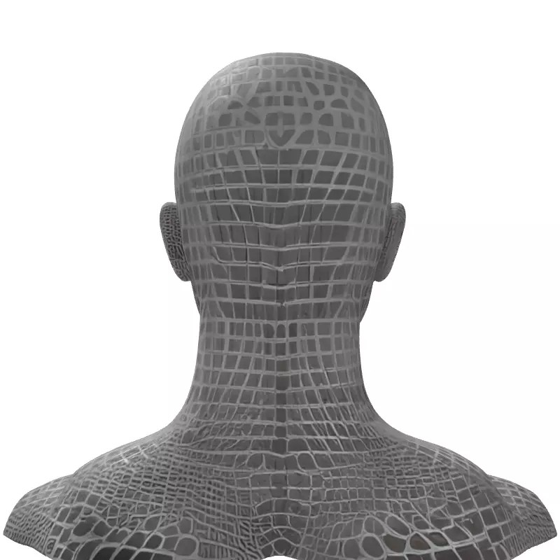 Male Head Wireframe 3D Model – Low Poly Game Asset, FBX, PBR - View 9