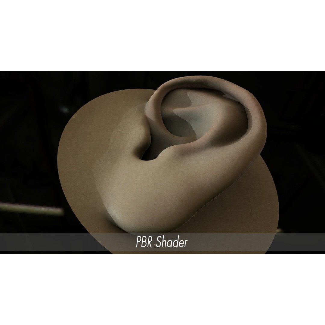 Realistic Human Ear 3D Model – High Poly PBR Asset, FBX, Game Ready