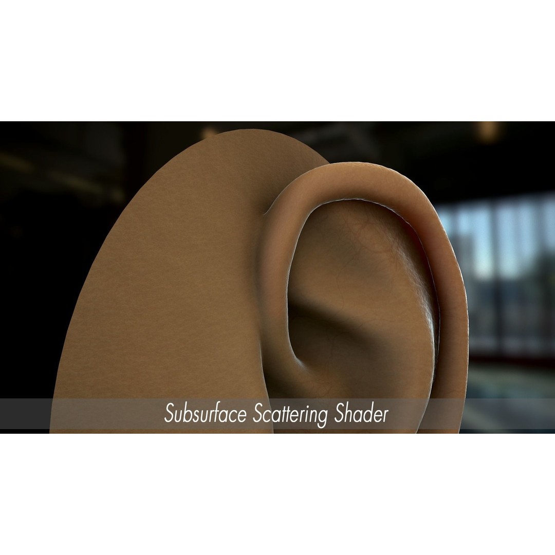 Realistic Human Ear 3D Model – High Poly PBR Asset, FBX, Game Ready - View 10