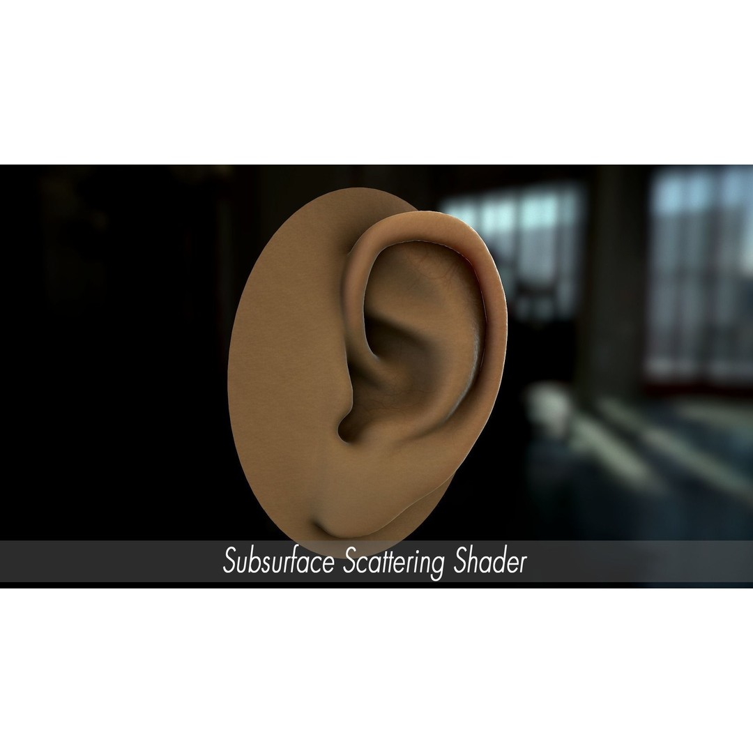 Realistic Human Ear 3D Model – High Poly PBR Asset, FBX, Game Ready - View 11