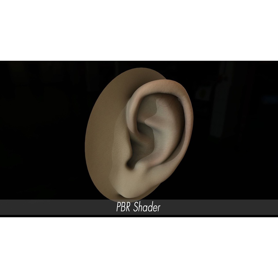 Realistic Human Ear 3D Model – High Poly PBR Asset, FBX, Game Ready - View 12