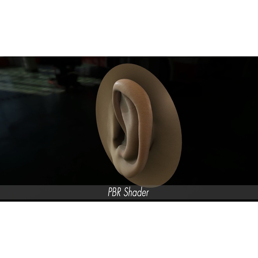 Realistic Human Ear 3D Model – High Poly PBR Asset, FBX, Game Ready - View 13