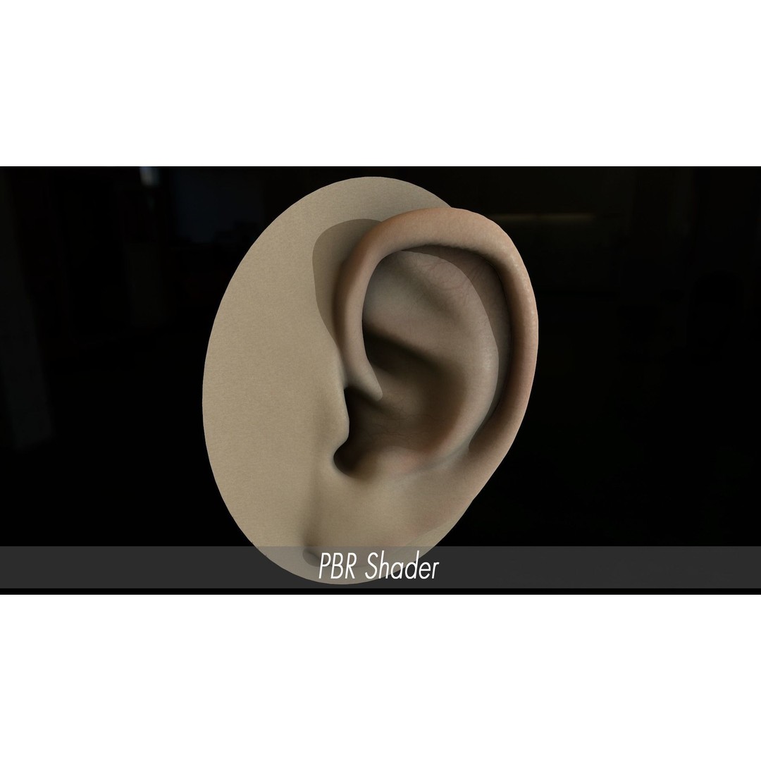 Realistic Human Ear 3D Model – High Poly PBR Asset, FBX, Game Ready - View 14