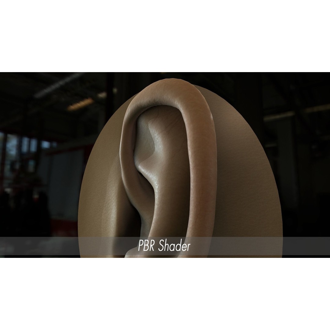 Realistic Human Ear 3D Model – High Poly PBR Asset, FBX, Game Ready - View 15