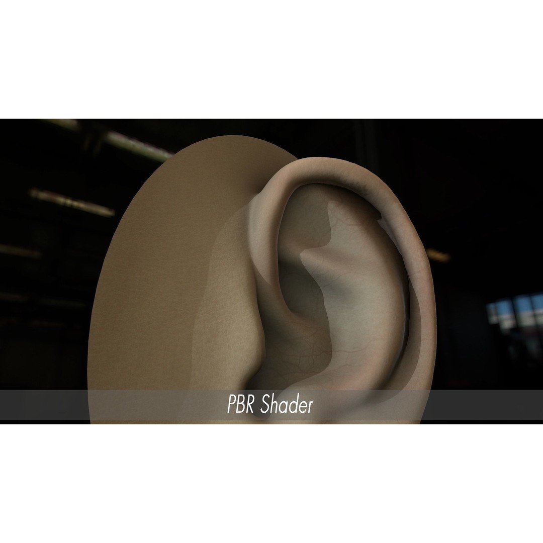 Realistic Human Ear 3D Model – High Poly PBR Asset, FBX, Game Ready - View 16