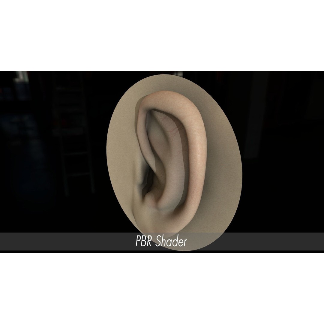 Realistic Human Ear 3D Model – High Poly PBR Asset, FBX, Game Ready - View 17