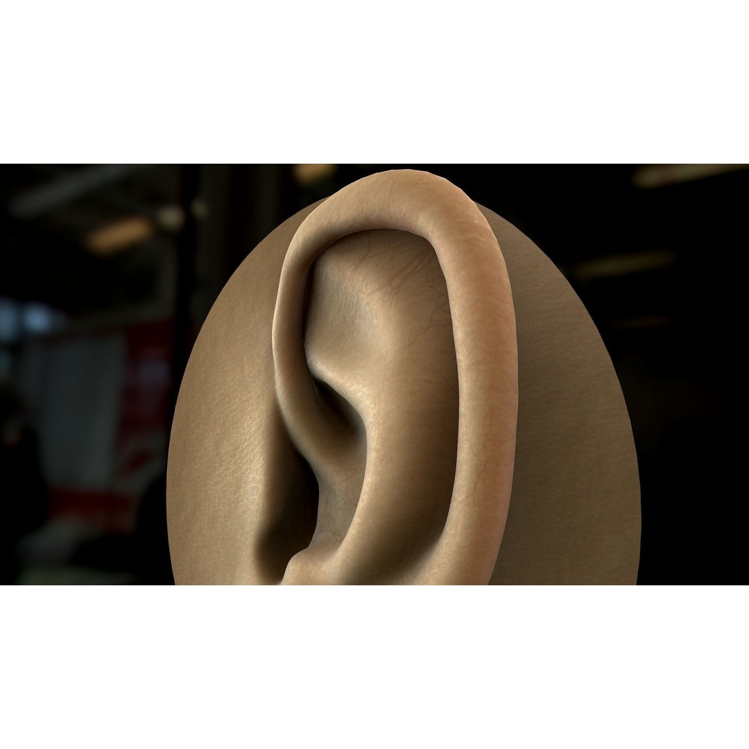 Realistic Human Ear 3D Model – High Poly PBR Asset, FBX, Game Ready - View 2