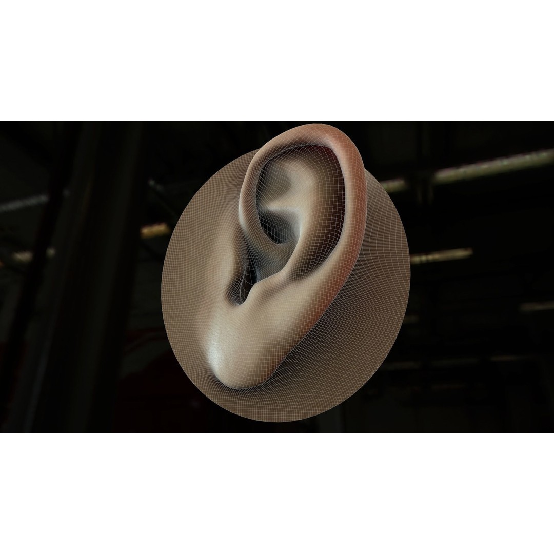 Realistic Human Ear 3D Model – High Poly PBR Asset, FBX, Game Ready - View 4