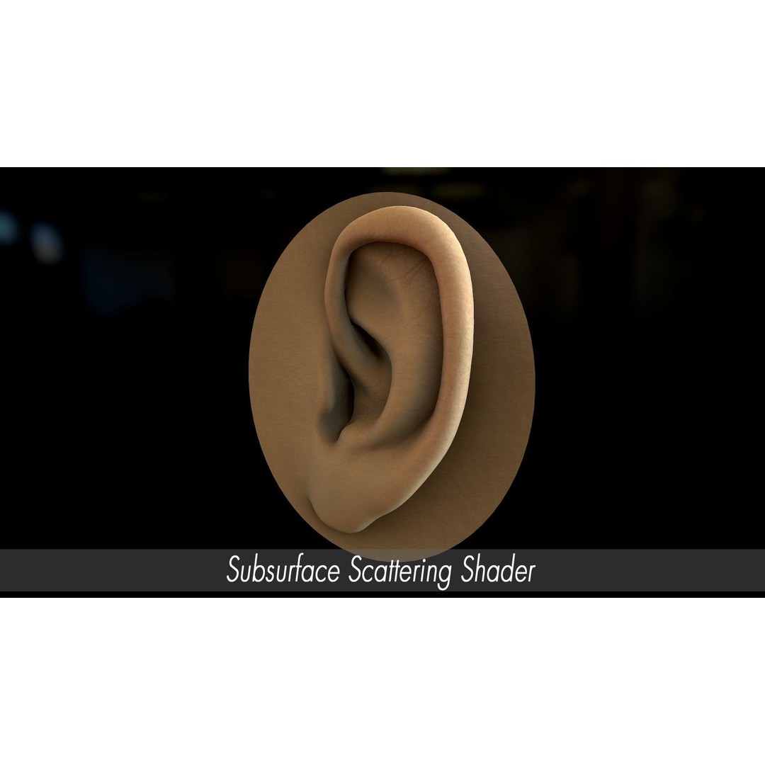 Realistic Human Ear 3D Model – High Poly PBR Asset, FBX, Game Ready - View 5