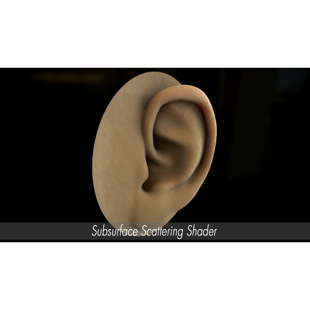 Realistic Human Ear 3D Model – High Poly PBR Asset, FBX, Game Ready - View 6