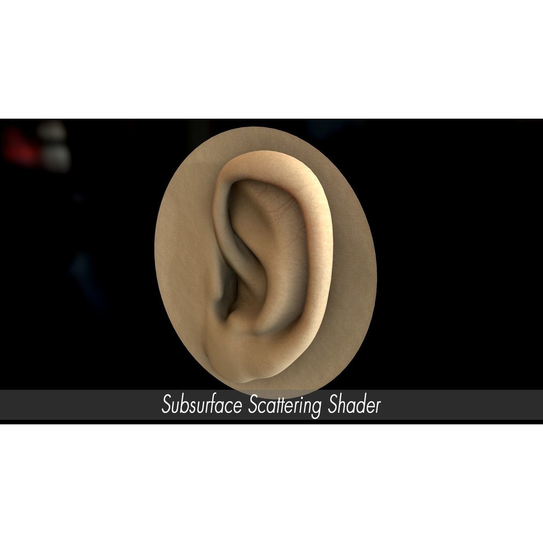 Realistic Human Ear 3D Model – High Poly PBR Asset, FBX, Game Ready - View 7