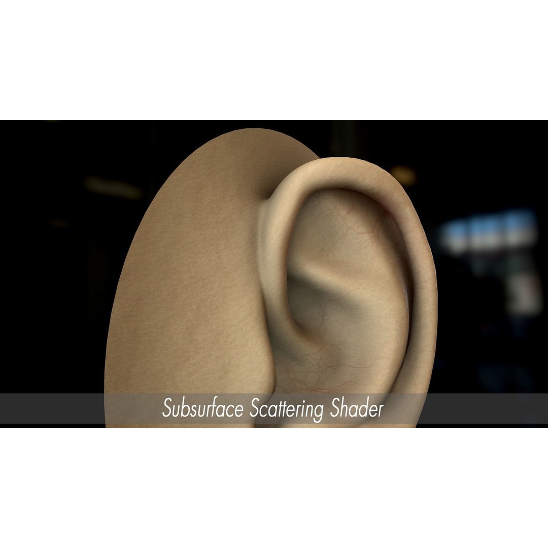 Realistic Human Ear 3D Model – High Poly PBR Asset, FBX, Game Ready - View 9