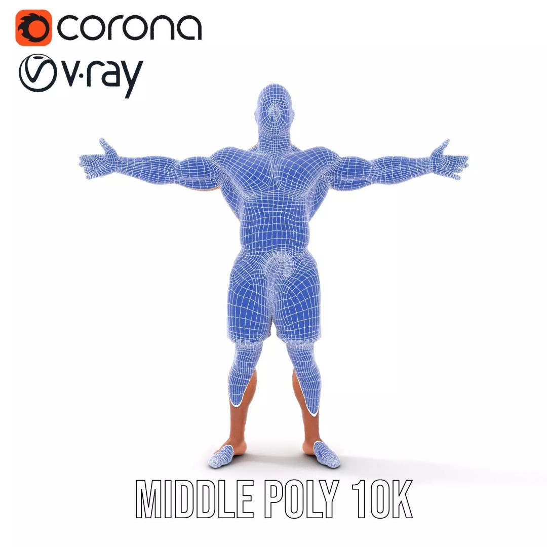 Muscular Human Figure 3D Model – Low Poly Rigged Character for Animation - View 30