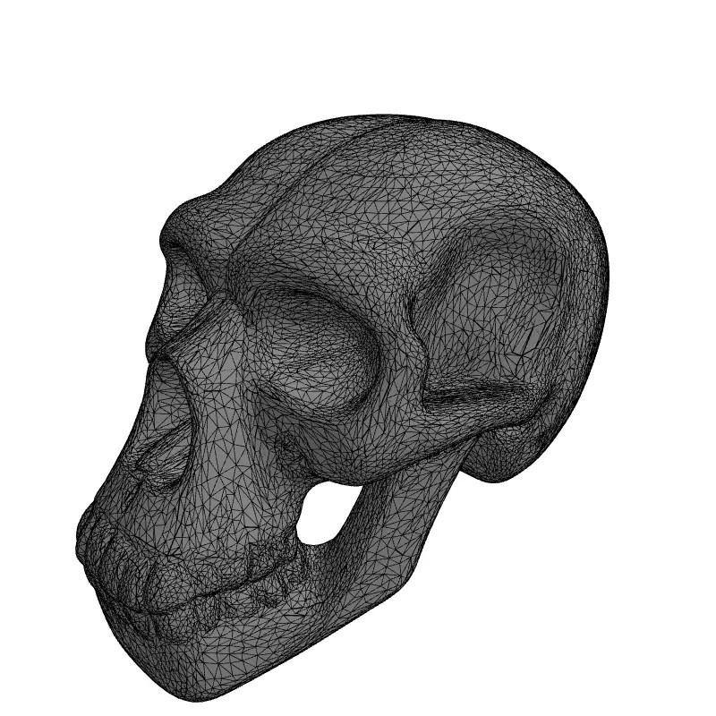 Stylized Wooden Skull 3D Model – Low Poly Game Asset, PBR Textures - View 3
