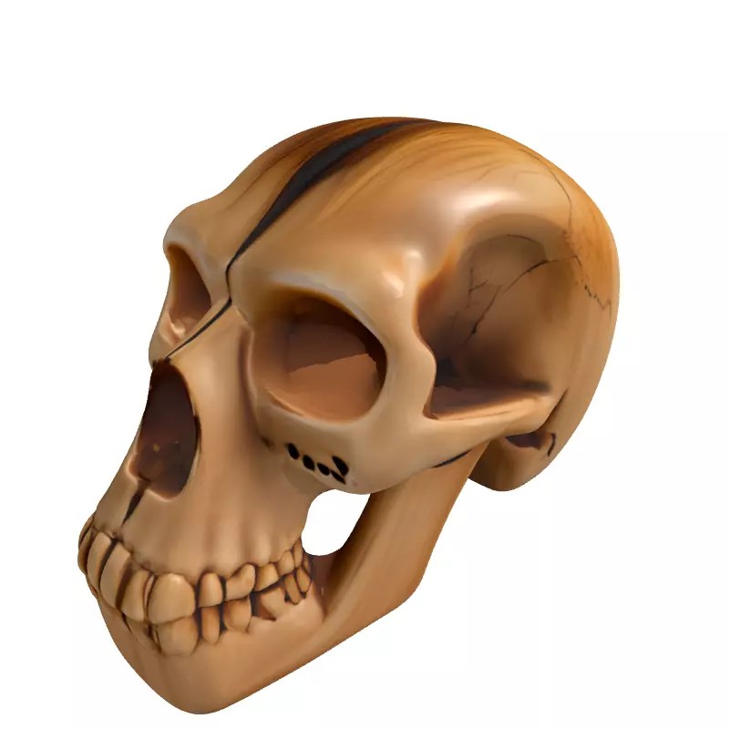 Stylized Wooden Skull 3D Model – Low Poly Game Asset, PBR Textures - View 5