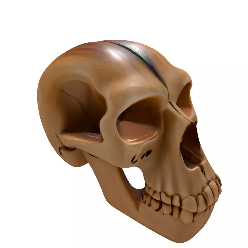 Stylized Wooden Skull 3D Model – Low Poly Game Asset, PBR Textures - View 8